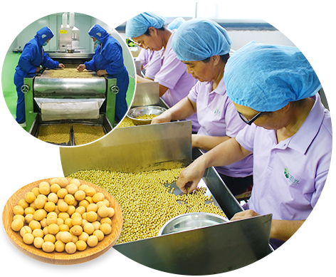 宏光-科學(xué)質(zhì)量管理體系，確保產(chǎn)品品質(zhì)